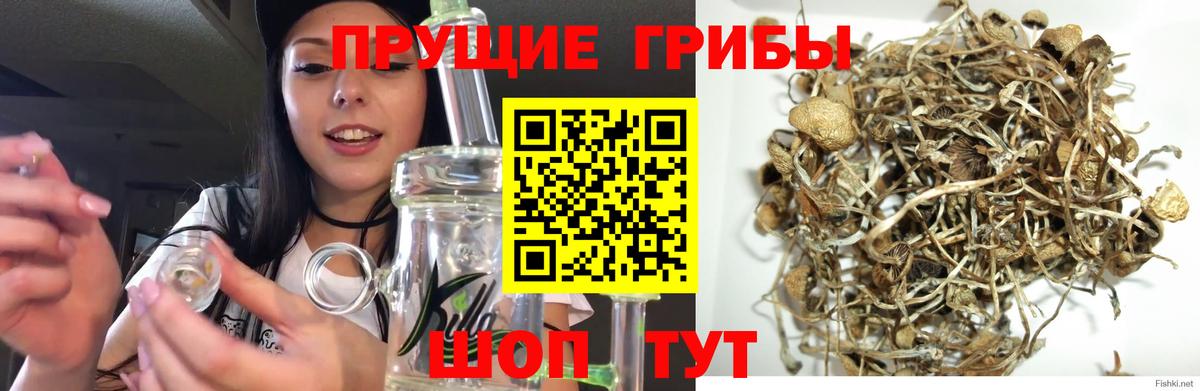 Экстази  ГАШ  Бошки Шишки  Мефедрон   Alpha PVP СК   Киров  ГАШИШ  Вход с VPN 
